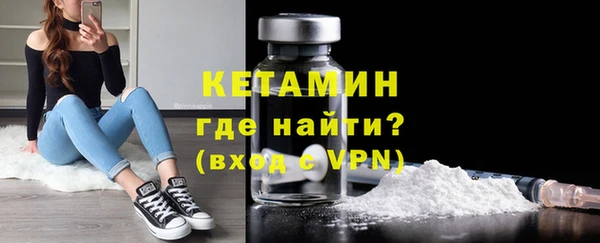 стаф Пересвет